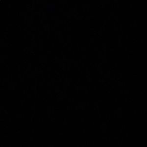 Meet your Posher, Carson